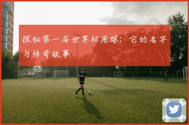 探秘第一届世界杯用球:它的名字与传奇故事