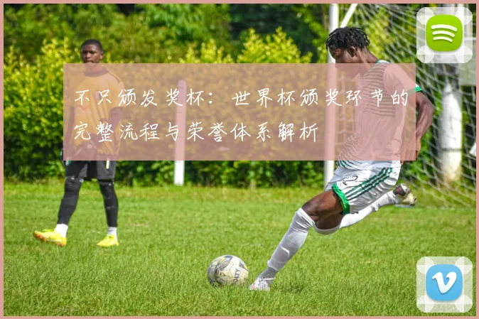 不只颁发奖杯:世界杯颁奖环节的完整流程与荣誉体系解析