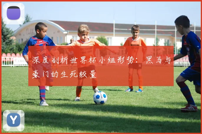 深度剖析世界杯小组形势：黑马与豪门的生死较量