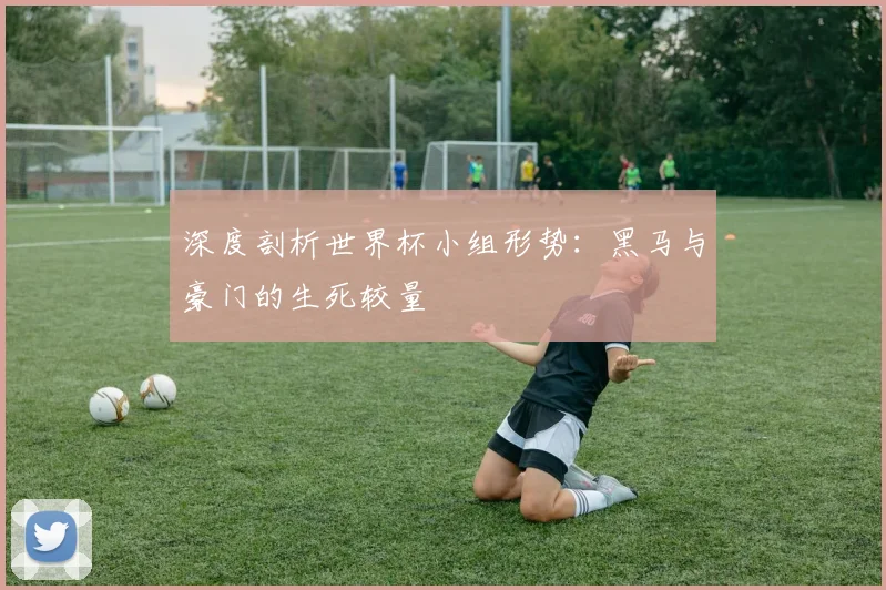 深度剖析世界杯小组形势:黑马与豪门的生死较量
