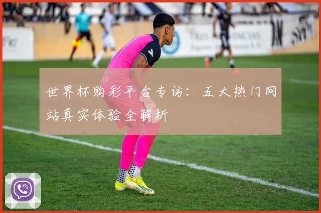 世界杯购彩平台专访:五大热门网站真实体验全解析
