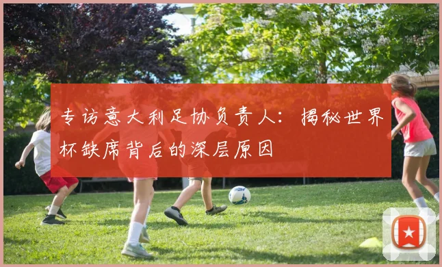 专访意大利足协负责人：揭秘世界杯缺席背后的深层原因