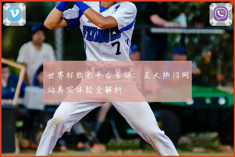 世界杯购彩平台专访:五大热门网站真实体验全解析