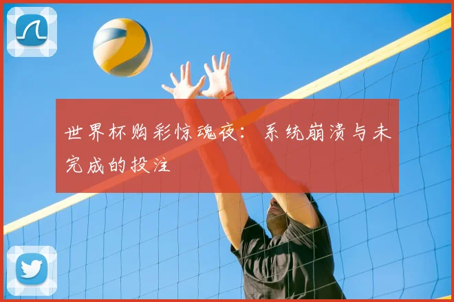 世界杯购彩惊魂夜：系统崩溃与未完成的投注