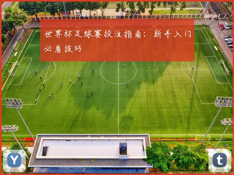 世界杯足球赛投注指南:新手入门必看技巧