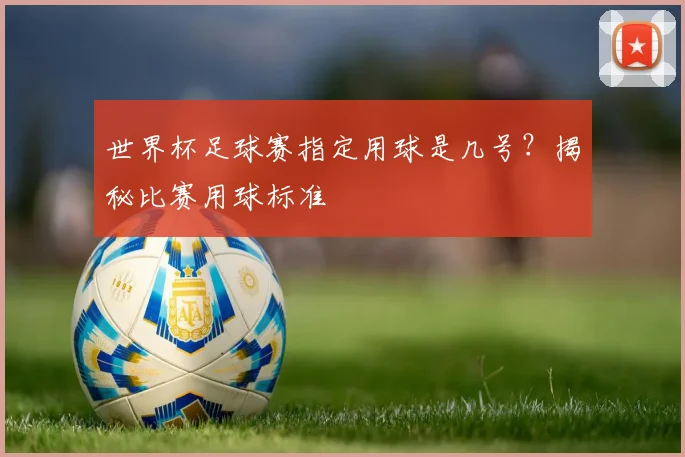 世界杯足球赛指定用球是几号?揭秘比赛用球标准