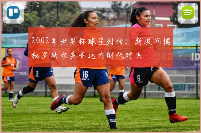 2002年世界杯球星列传：新浪网揭秘罗纳尔多齐达内时代对决