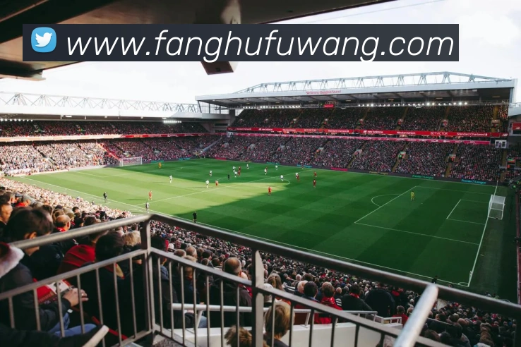 emc官网体育APP 封面图